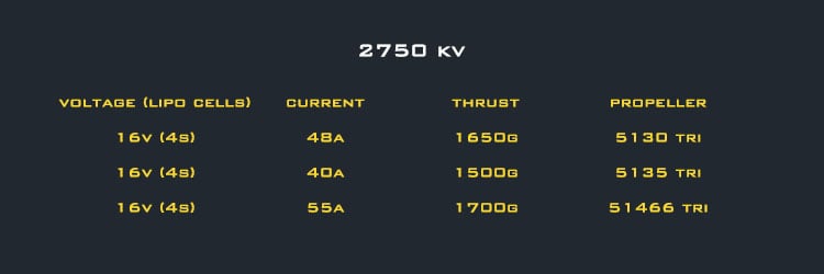 AMAX Competition 2306 1750KV Brushless Motor