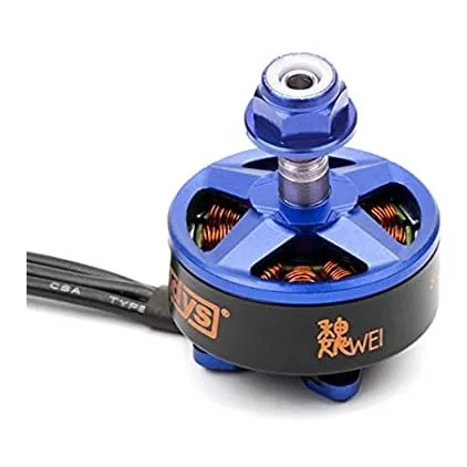 Samguk Wei D2207 2600KV BLDC Motor