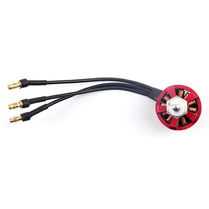 ReadyToSky 2212 920KV CCW Brushless Motor