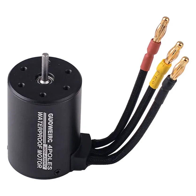 Queen Hobby 3650 Waterproof Brushless Motor for 1/8–1/10 RC Cars