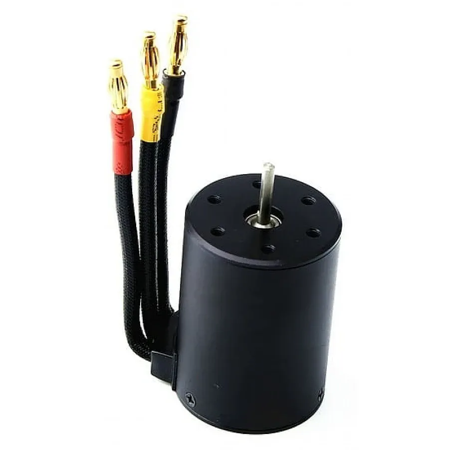 Queen Hobby 3650 Waterproof Brushless Motor for 1/8–1/10 RC Cars