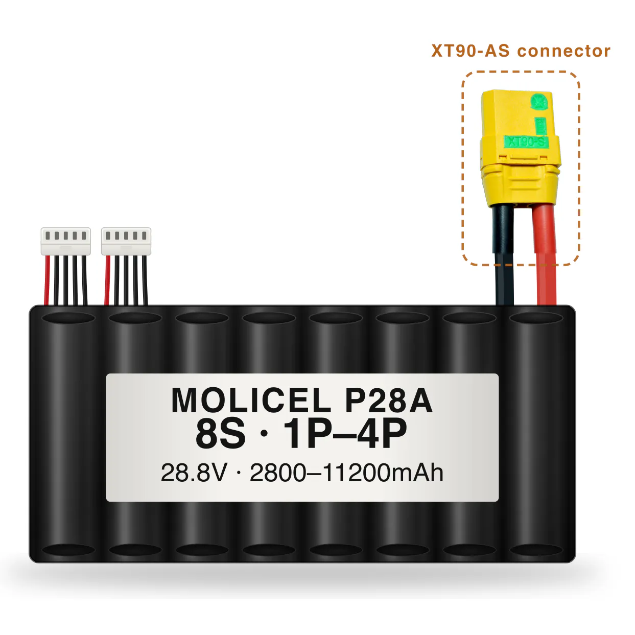 Molicel P28A 8S 1P–4P 2800–11200mAh Li-ion battery pack with XT90-AS connector