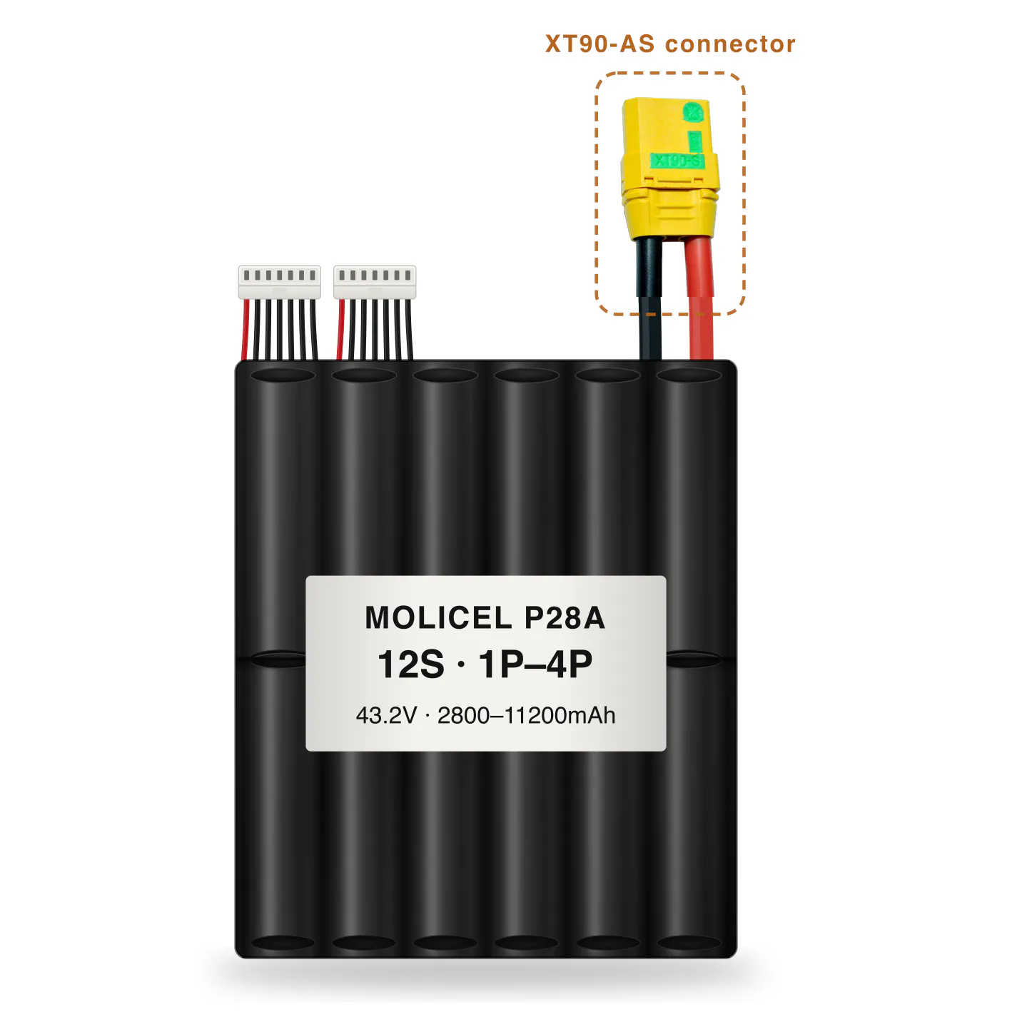 Molicel P28A 12S 1P–4P 2800–11200mAh Li-ion battery pack with XT90-AS connector