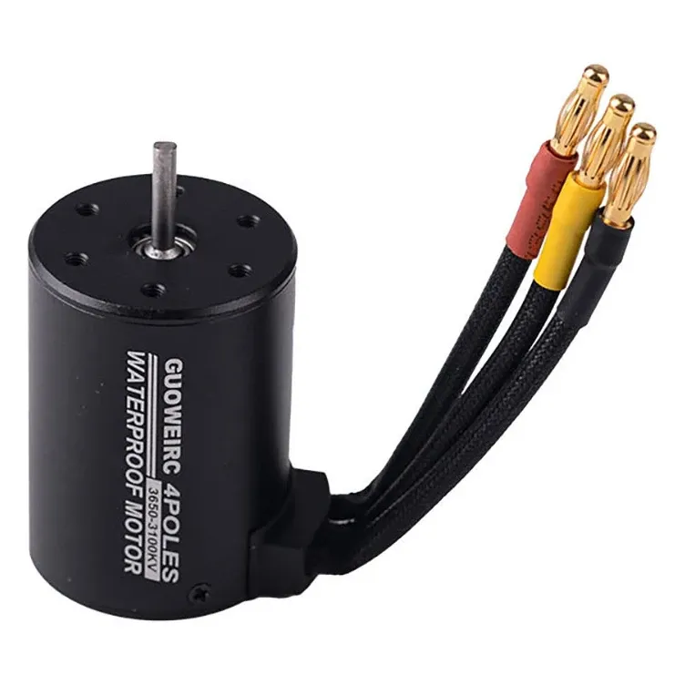 Queen Hobby 3650 Waterproof Brushless Motor for 1/8–1/10 RC Cars