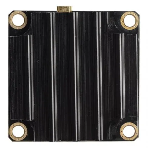AKK FX2 Dominator 2W VTX
