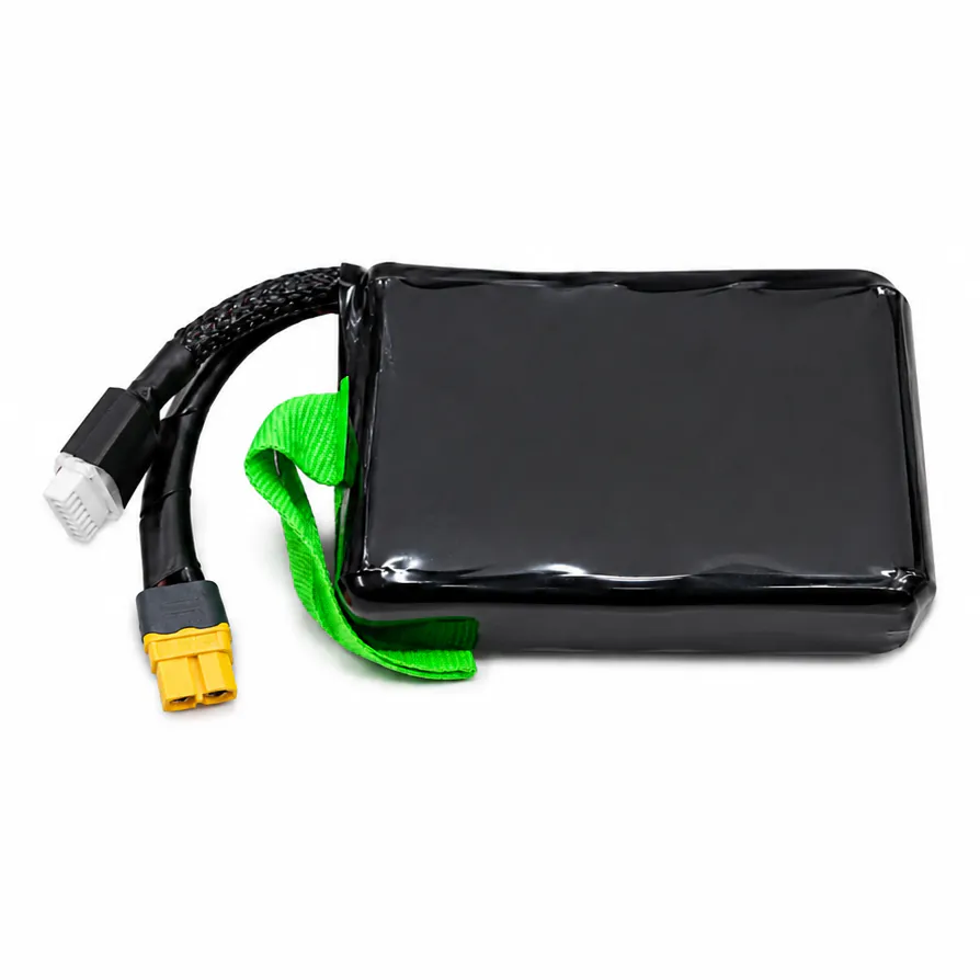 Li-Ion Battery Pack 6S2P 9000mAh