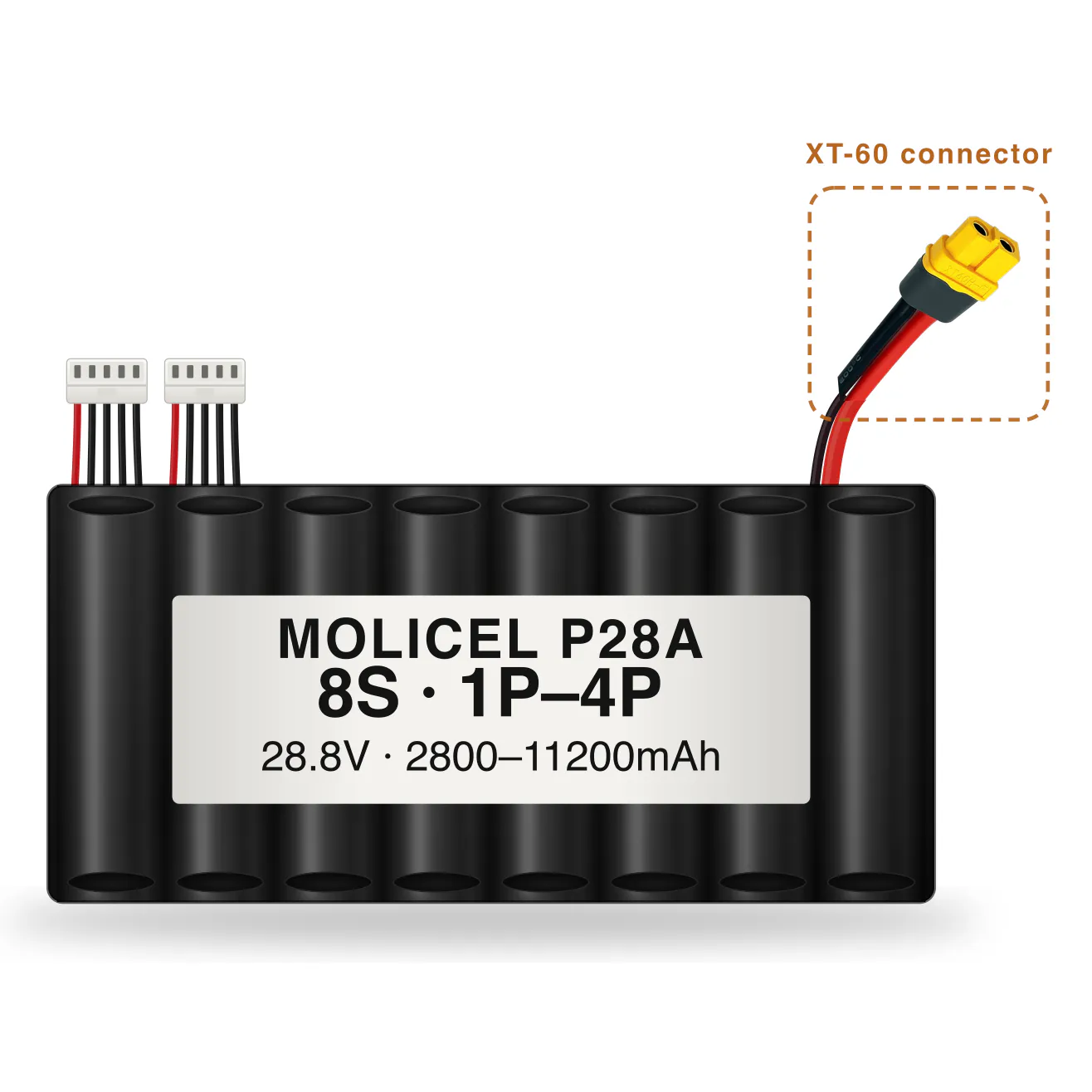 Molicel P28A 8S 1P–4P 2800–11200mAh Li-ion battery pack with XT-60 connector